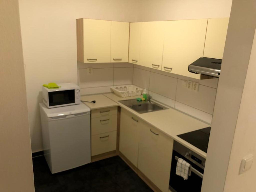 شقة Apartmans In The Center With Privat Parking برنو المظهر الخارجي الصورة